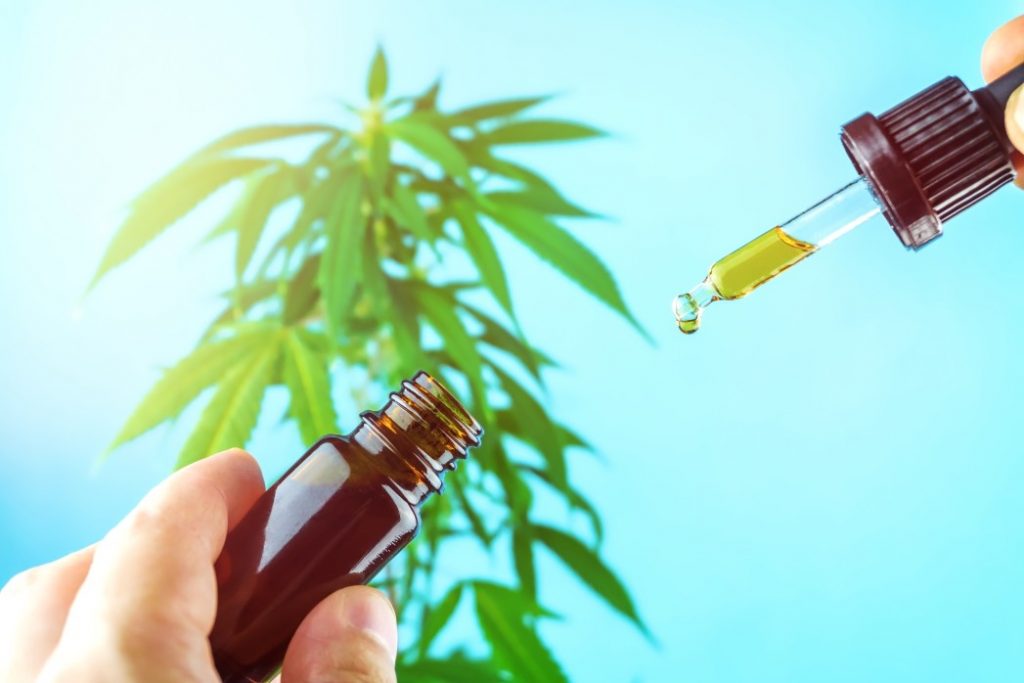 CBD oil or cannabidiol oil in tincture 