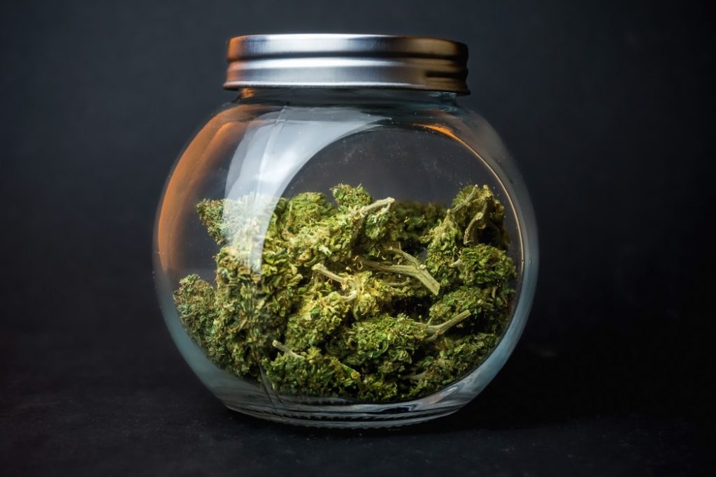 dry cannabis
